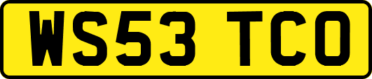 WS53TCO