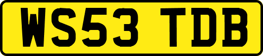 WS53TDB