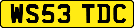 WS53TDC