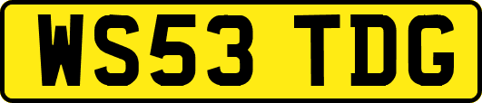WS53TDG