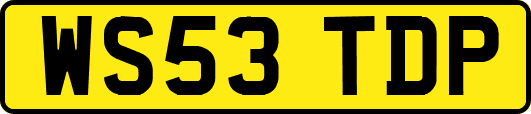 WS53TDP