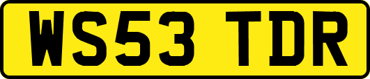 WS53TDR
