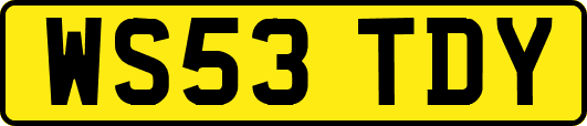 WS53TDY
