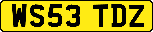 WS53TDZ
