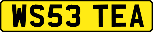 WS53TEA