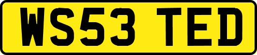 WS53TED