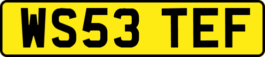 WS53TEF