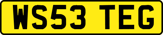 WS53TEG