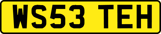 WS53TEH