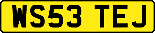 WS53TEJ