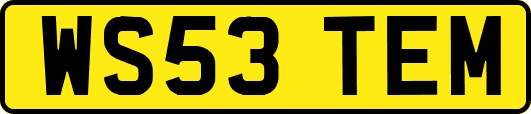 WS53TEM