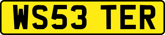 WS53TER
