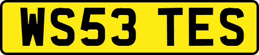 WS53TES