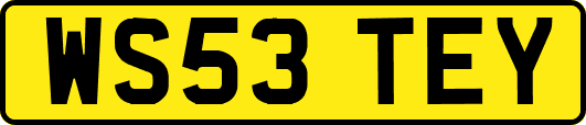 WS53TEY