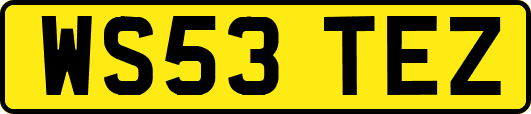 WS53TEZ