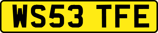 WS53TFE