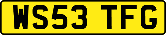 WS53TFG