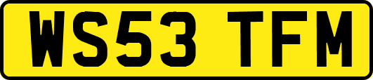 WS53TFM