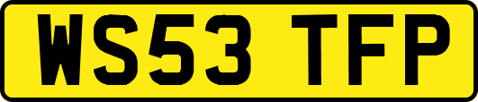 WS53TFP