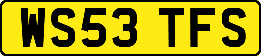 WS53TFS