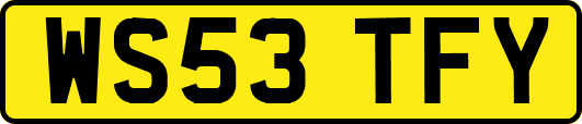WS53TFY