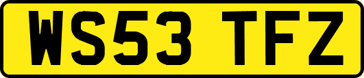 WS53TFZ