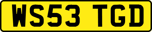 WS53TGD