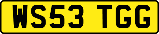 WS53TGG
