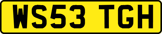WS53TGH