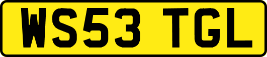 WS53TGL