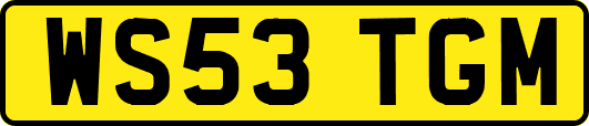 WS53TGM