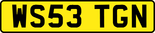 WS53TGN
