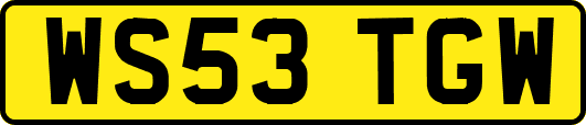 WS53TGW