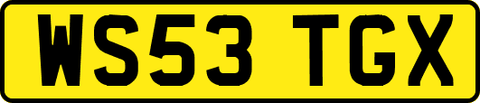 WS53TGX