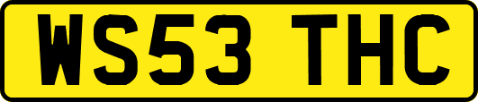 WS53THC