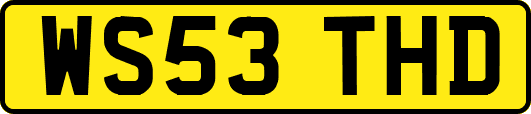 WS53THD