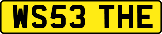 WS53THE