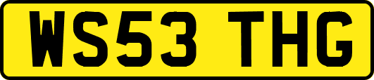 WS53THG