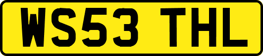 WS53THL