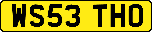 WS53THO