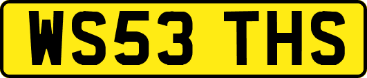 WS53THS