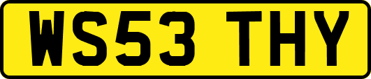 WS53THY