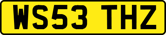 WS53THZ