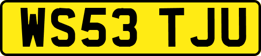 WS53TJU