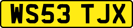 WS53TJX