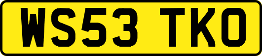 WS53TKO