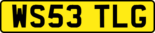 WS53TLG