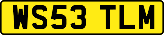 WS53TLM