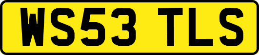 WS53TLS