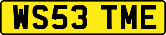 WS53TME